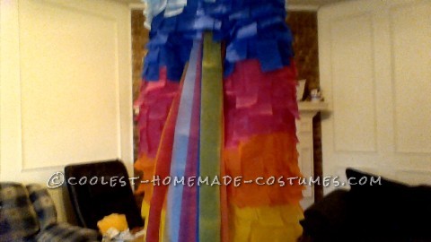 Best Pinata Costume for a Woman