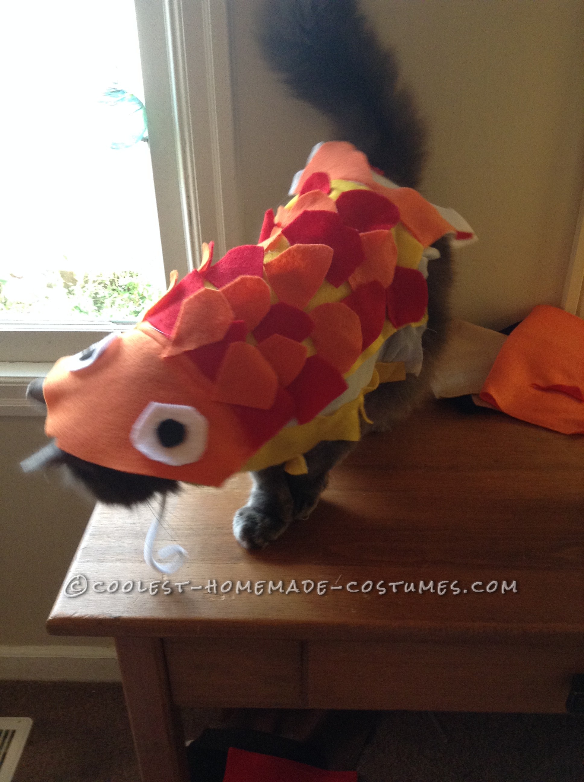 Funny "Cat"fish Costume