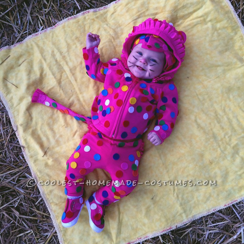 Circus Animal Cookie Baby Costume, Easy and Delicious!