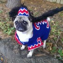 Coolest Flying Monkey Dog Costume