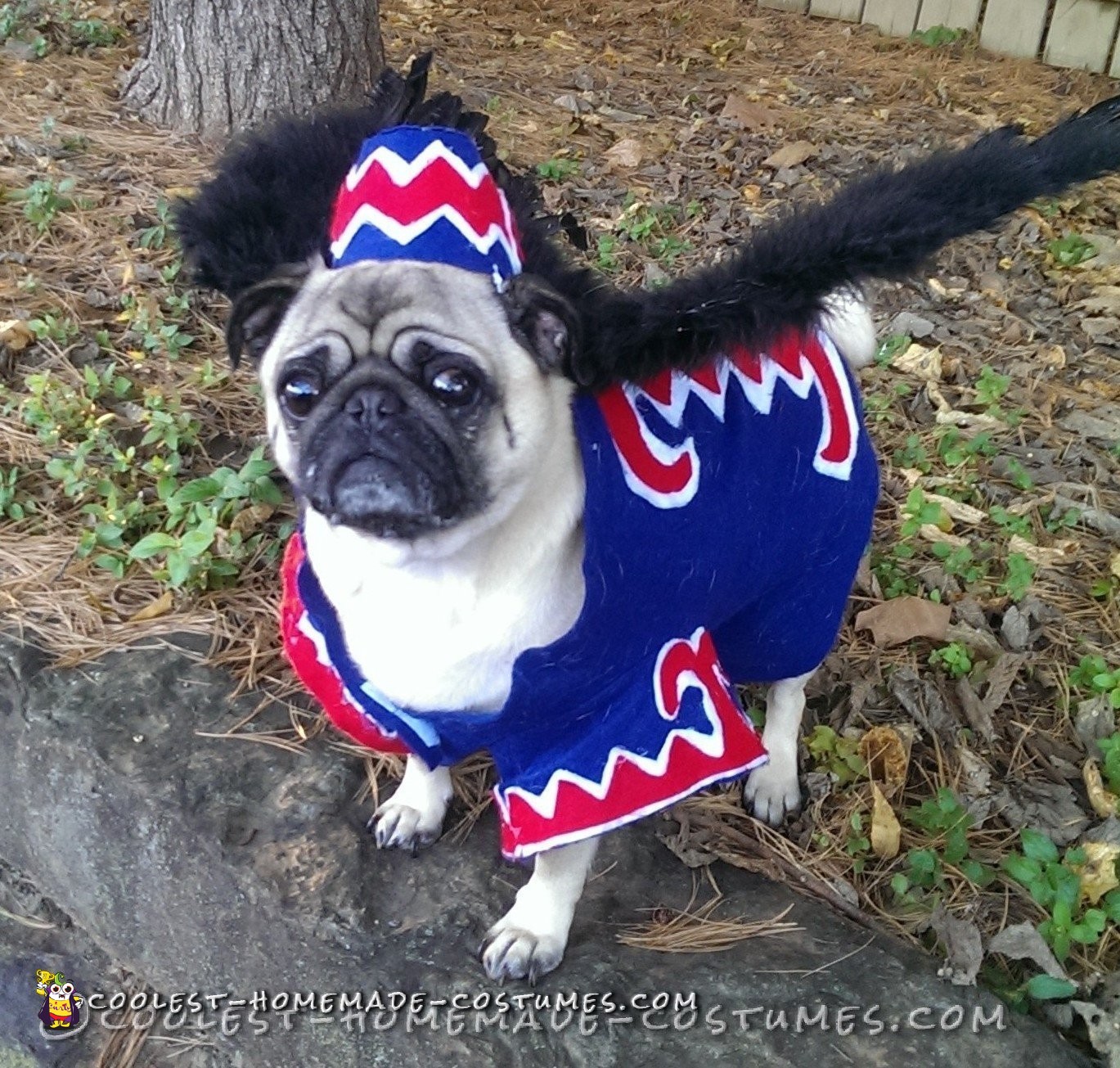 Coolest Flying Monkey Dog Costume