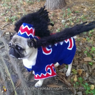 Coolest Flying Monkey Dog Costume
