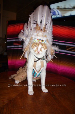 Coolest Indian Costume For a Cat