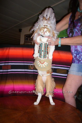Coolest Indian Costume For a Cat