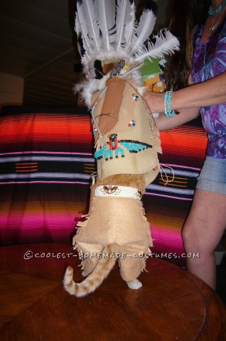 Coolest Indian Costume For a Cat