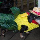 Corn on the Cob Costume for a Miniature Dachshund