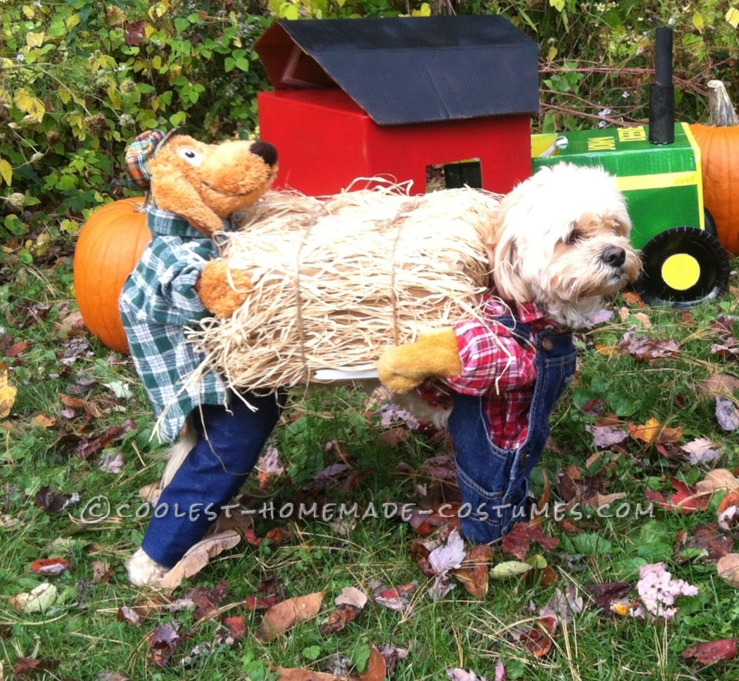 Scarecrow Dog Costume