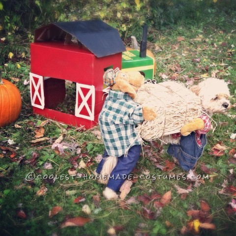 Scarecrow Dog Costume