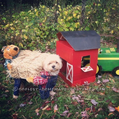 Scarecrow Dog Costume