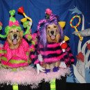 Cutest Whos from "Horton Hears a Who" Dog Costumes