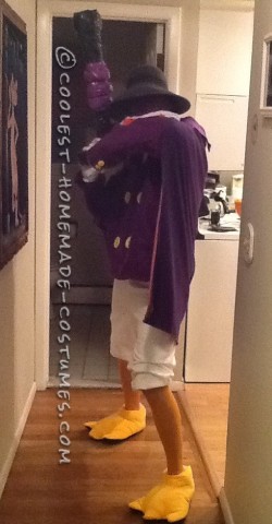 Cool DIY Darkwing Duck Costume