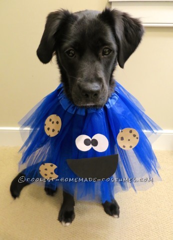 Deliciously Adorable Cookie Monster Costumes for Dogs