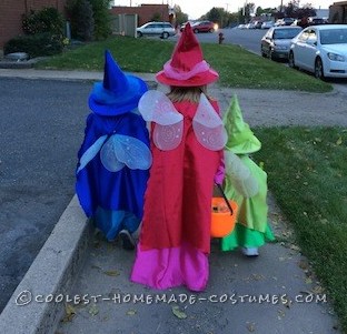 Cutest Flora, Fauna, and Merryweather Fairy Costumes