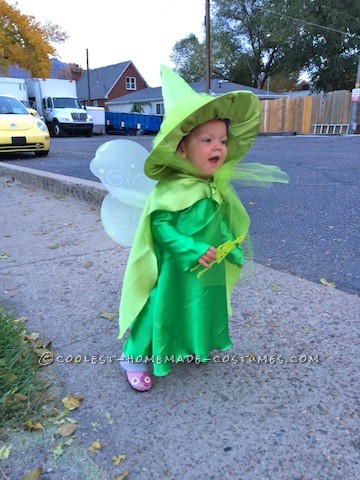 Cutest Flora, Fauna, and Merryweather Fairy Costumes