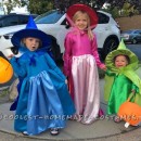 Cutest Flora, Fauna, and Merryweather Fairy Costumes