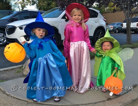 Cutest Flora, Fauna, and Merryweather Fairy Costumes