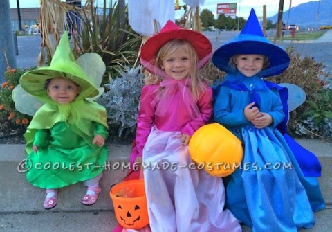 Cutest Flora, Fauna, and Merryweather Fairy Costumes