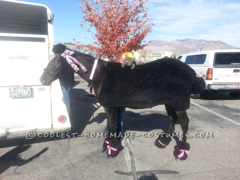 Giant Poodle Costume for a Horse!