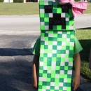 Cool Minecraft Girl Creeper Costume