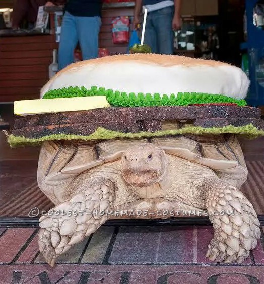 Slow Cookin' Turtle Burger Costume