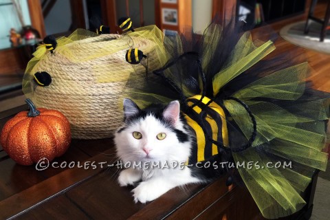 Homemade Bumble Bee Cat Costume