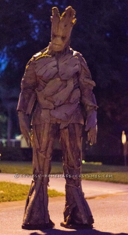 Awesome Homemade Groot Costume