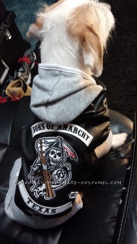 Jax Dog Costume from Sons of Anarchy