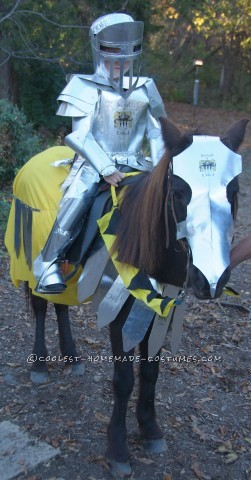 Knight in Shiny Armour Costume