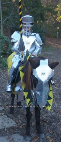 Knight in Shiny Armour Costume