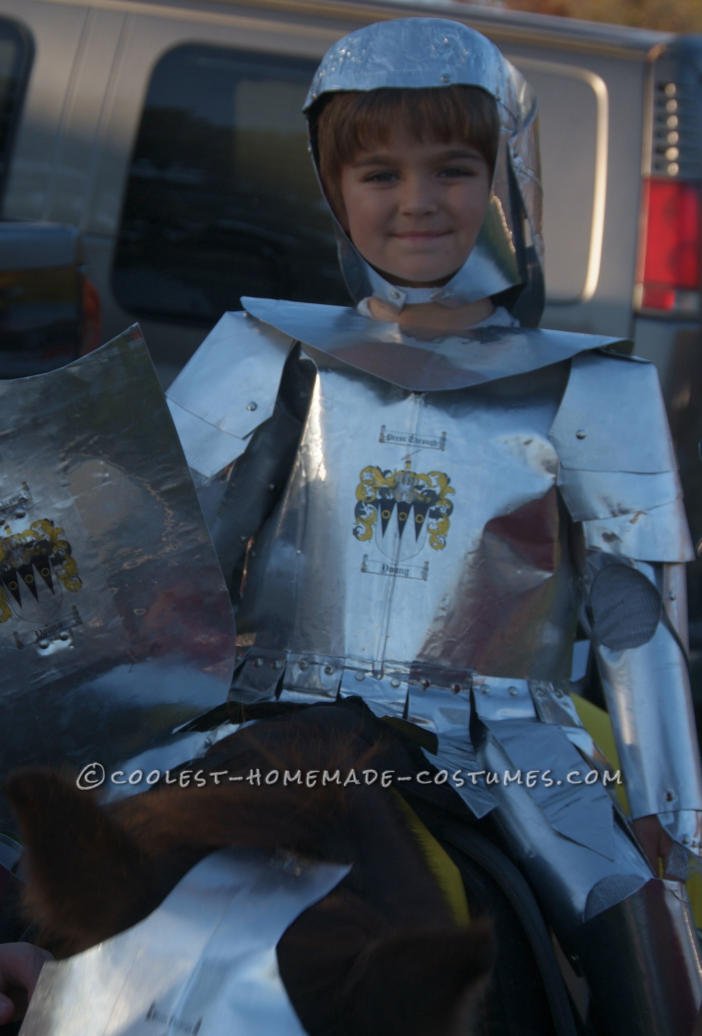 Knight in Shiny Armour Costume