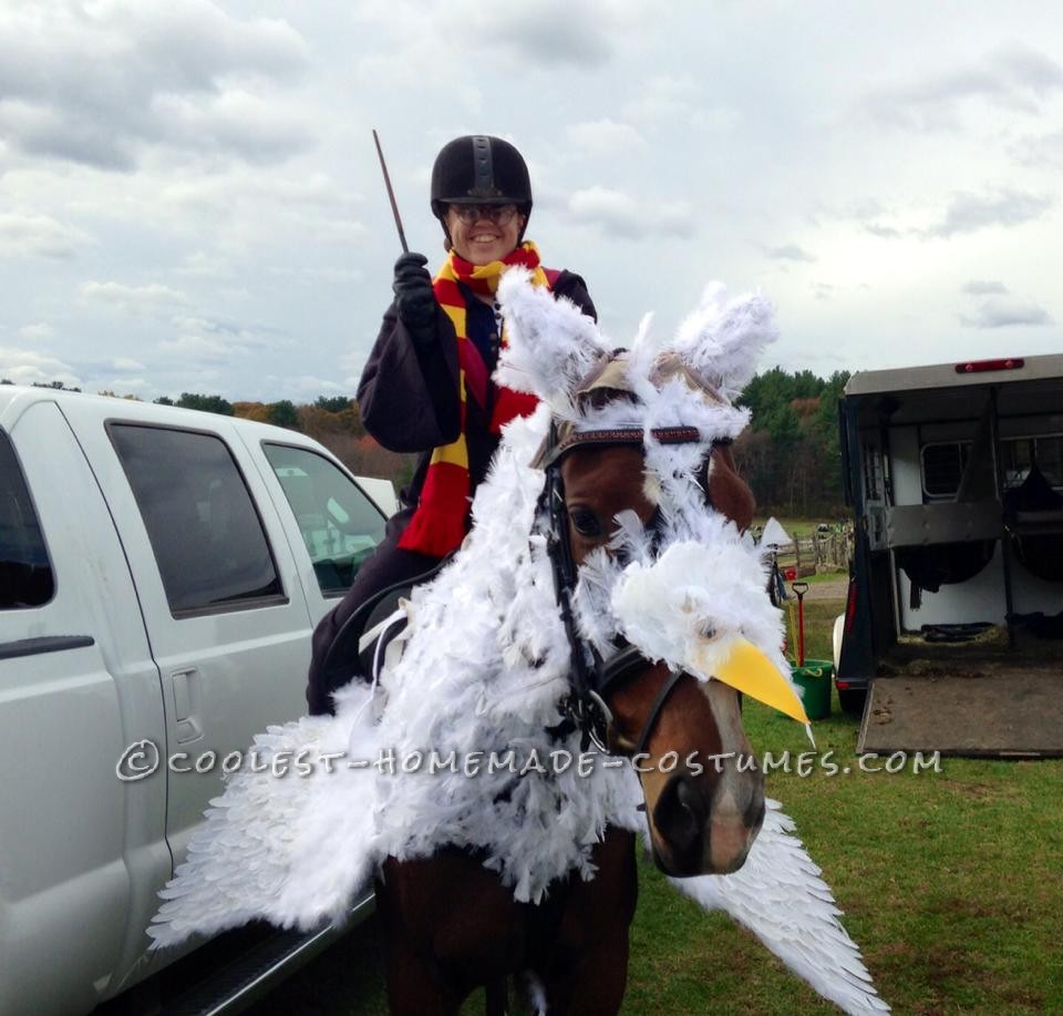 Lina the Awesome Horse as Buckbeak the Hippogriff