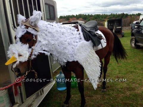 Lina the Awesome Horse as Buckbeak the Hippogriff