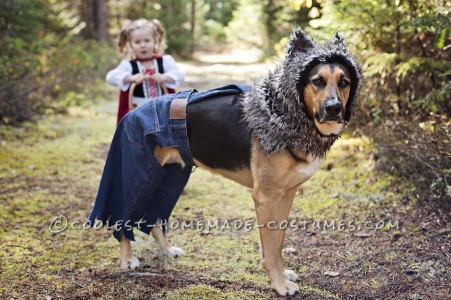 Little Bad Wolf Costume for a Dog