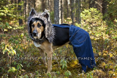 Little Bad Wolf Costume for a Dog