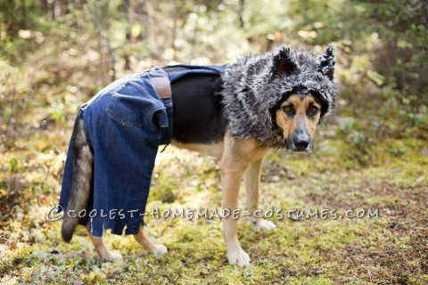 Little Bad Wolf Costume for a Dog