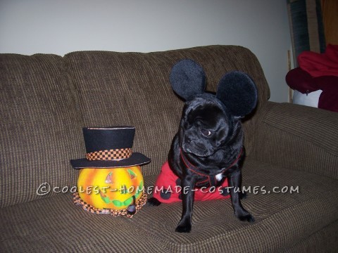 Cute Mickey and Minnie Mouse Pug Costumes