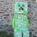 Coolest Minecraft Creeper Costume