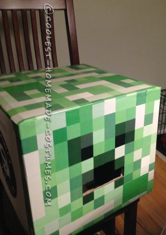 Coolest Minecraft Creeper Costume