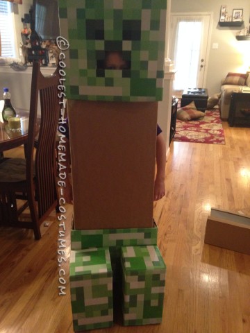 Coolest Minecraft Creeper Costume