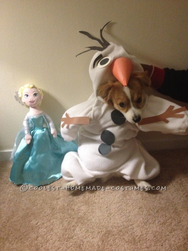 Funny Dog Costume: Mochi  as Olaf from Frozen