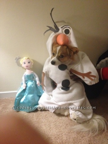 Funny Dog Costume: Mochi  as Olaf from Frozen