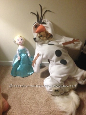 Funny Dog Costume: Mochi  as Olaf from Frozen