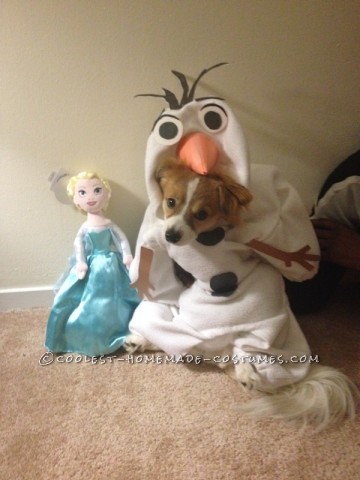 Funny Dog Costume: Mochi  as Olaf from Frozen