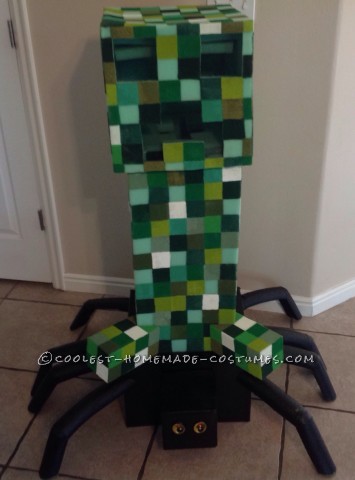 Most Amazing DIY Minecraft Costume for a Boy