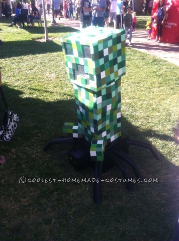 Most Amazing DIY Minecraft Costume for a Boy