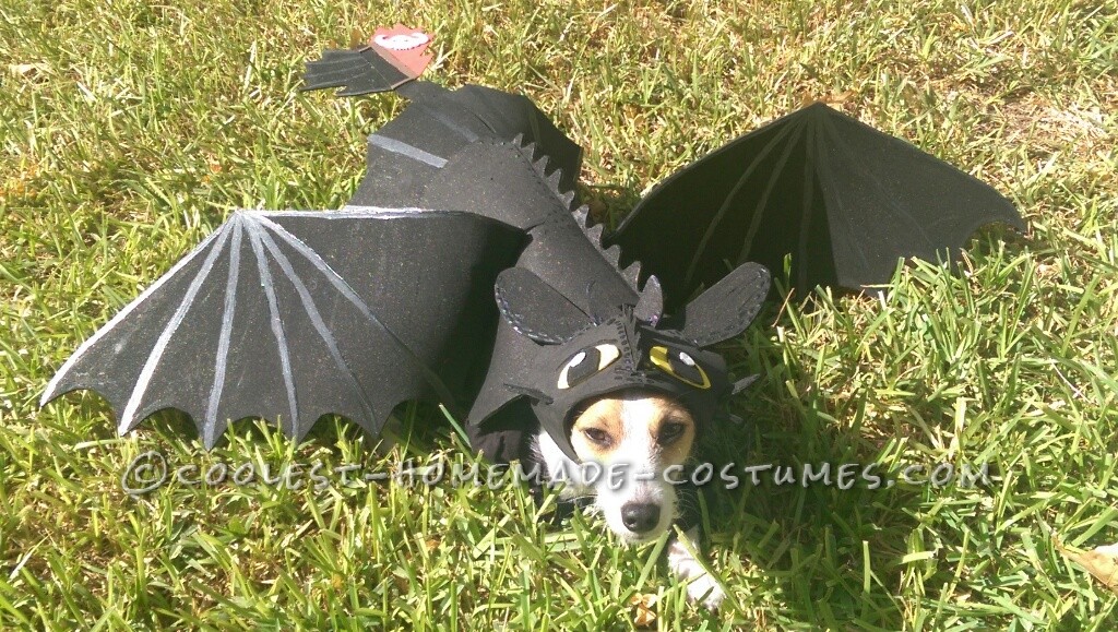Awesome DIY How to Train Your Dragon Dog costume