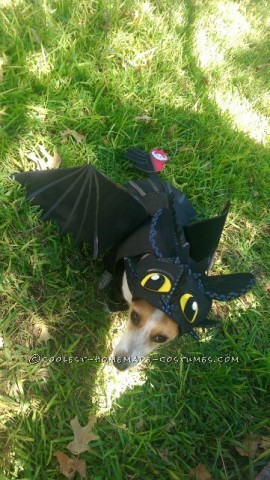 Awesome DIY How to Train Your Dragon Dog costume