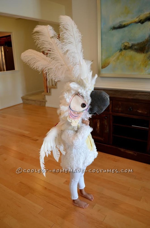 rio nigel plush
