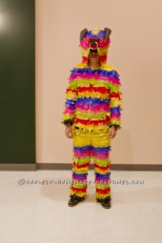 Inexpensive Raging Bull Pinata Costume