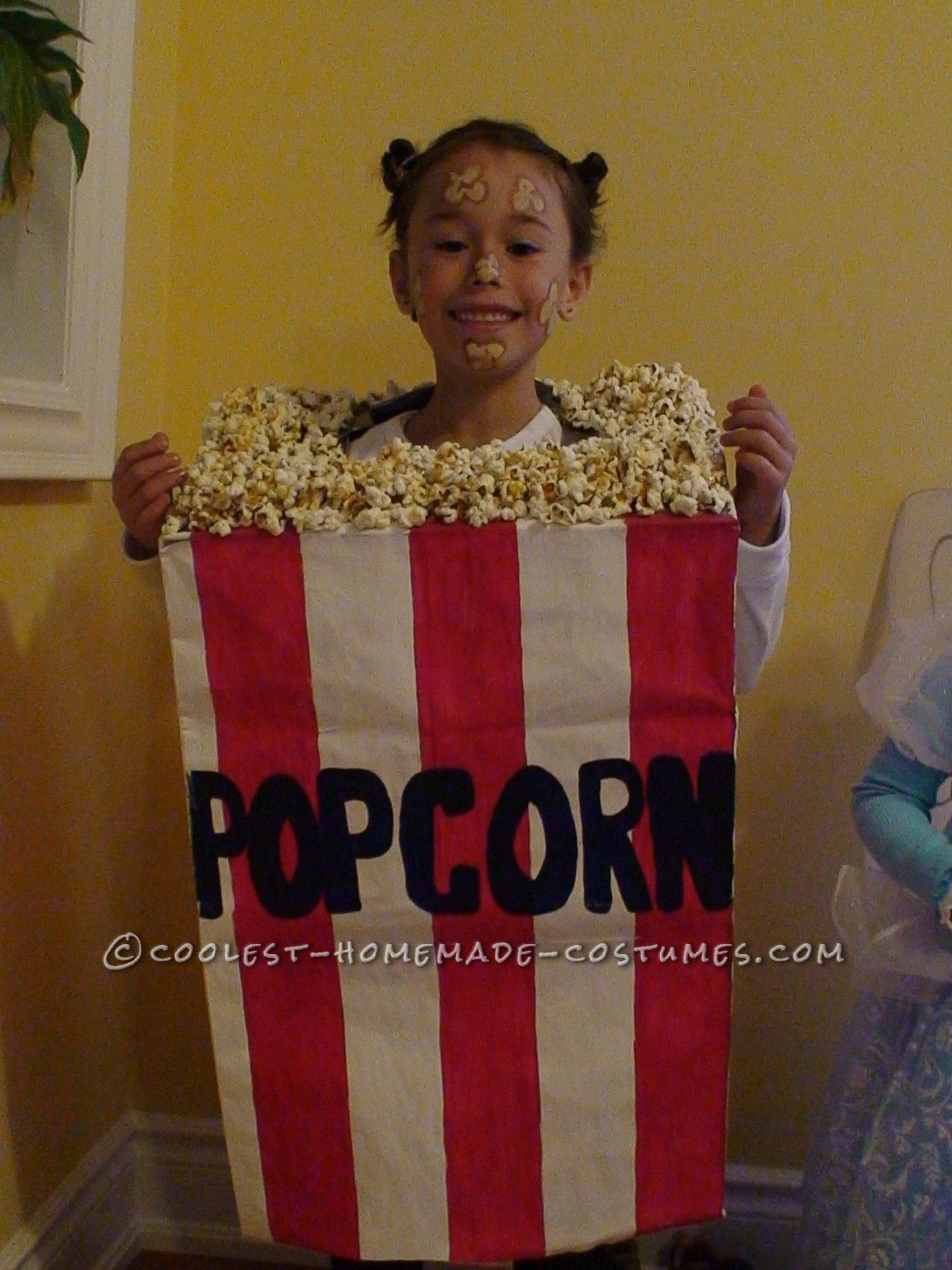 Cool Popcorn Bag Costume for a Girl